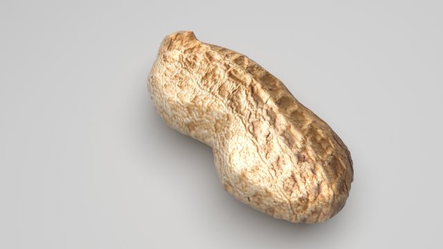 Unshelled Peanut 3D 모델 .c4d .max .obj .3ds .fbx .stl .blend 
