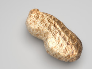 Unshelled Peanut Modelo 3D