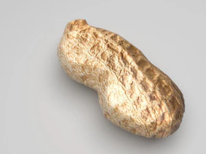 Kacang Tanah Tanpa Kulit Model 3D