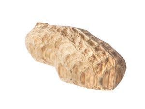 Unshelled Peanut 3D 모델