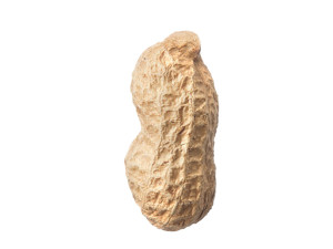 Unshelled Peanut 3D 모델