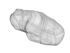Unshelled Peanut 3D 모델