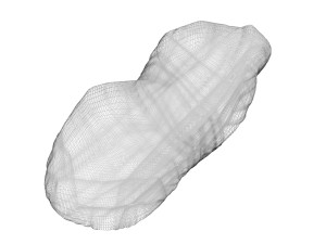 Unshelled Peanut 3D 모델