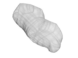 Unshelled Peanut 3D 모델