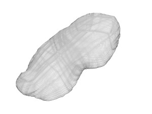 Unshelled Peanut 3D 모델