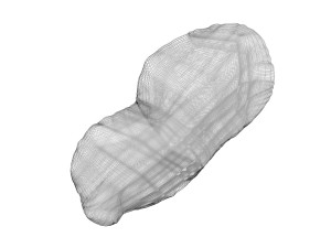 Unshelled Peanut 3D 모델
