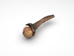 Clove 3D 모델