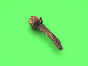 Clove 3D 모델