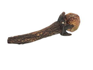 Clove 3D 모델