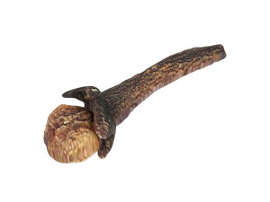 Clove 3D 모델