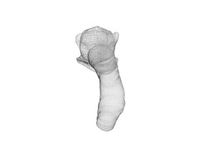 Clove 3D 모델