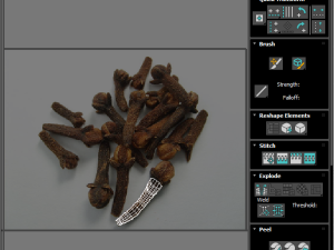 Clove 3D 모델