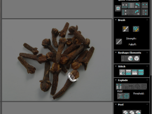 Clove 3D 모델