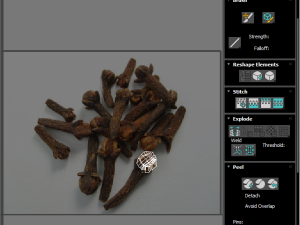 Clove 3D 모델