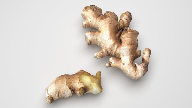 Gingers Modèle 3D .c4d .max .obj .3ds .fbx .stl .blend 