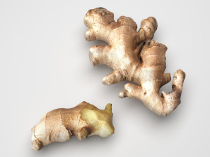 Gingers 3D Model