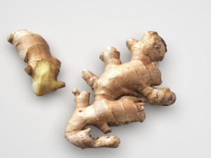 Gingers Modèle 3D