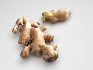Gingers Modèle 3D