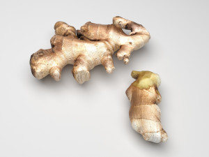 Gingers Modèle 3D