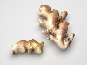 Gingers Modèle 3D
