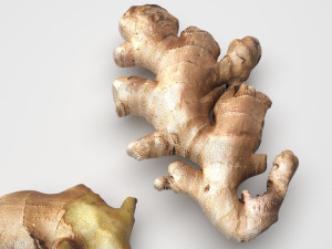 Gingers Modèle 3D