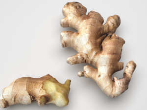 Gingers Modèle 3D