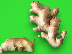Gingers Modèle 3D