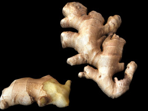 Gingers Modèle 3D