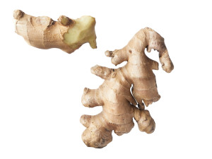 Gingers Modèle 3D