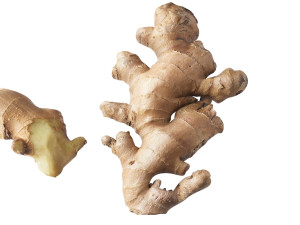 Gingers Modèle 3D