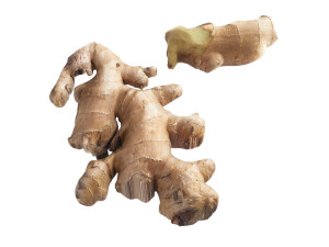Gingers Modèle 3D