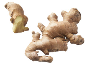 Gingers Modèle 3D