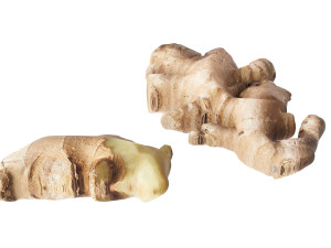 Gingers Modèle 3D