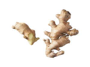 Gingers Modèle 3D