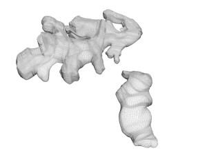 Gingers Modèle 3D