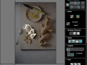 Gingers Modèle 3D