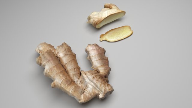 Gingers 3Dモデル .c4d .max .obj .3ds .fbx .stl .blend 
