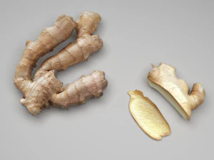 Gingers 3D Model
