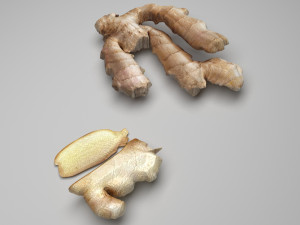 Gingers 3Dモデル