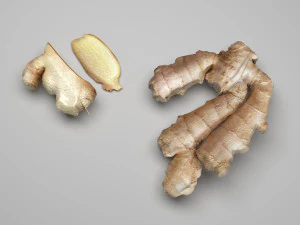Gingers 3D Model