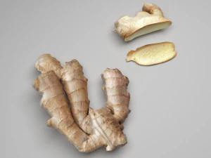 Gingers 3D Model