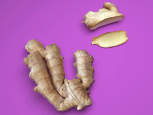 Gingers 3D Model