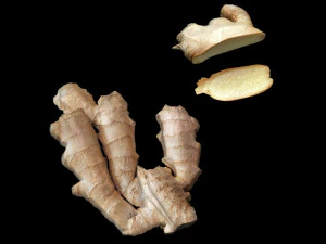 Gingers 3D Model