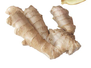 Gingers 3D Model