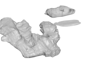 Gingers 3D Model