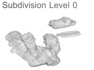 Gingers 3D Model