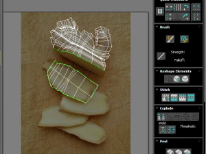 Gingers 3D Model