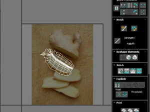 Gingers 3D Model