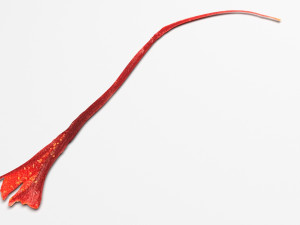 Saffron 3Dモデル