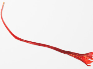 Saffron 3D 模型